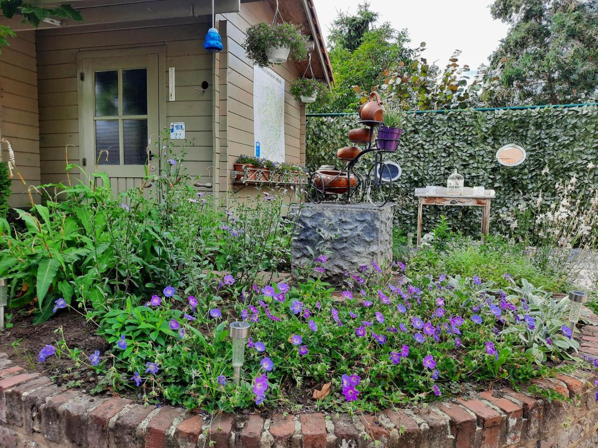 빌젠 Vakantiewoning Kerkevelde B&B 외부 사진