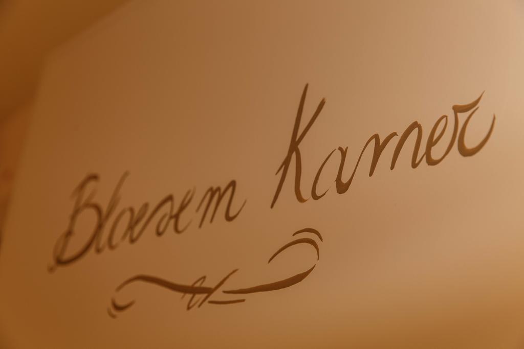 빌젠 Vakantiewoning Kerkevelde B&B 외부 사진